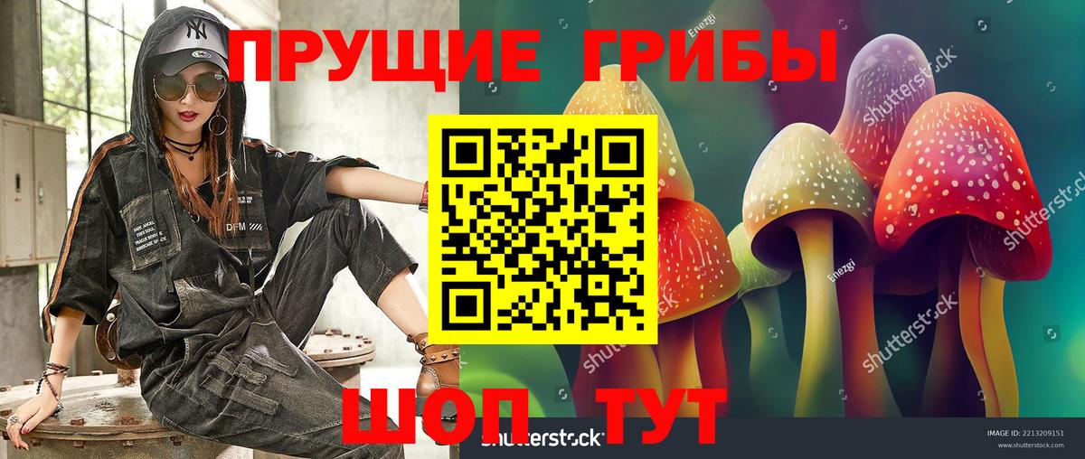 Галлюциногенные грибы прущие грибы Йошкар-Ола